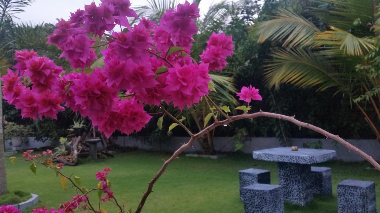 Dhammika Magic Palace Wadduwa Exterior foto
